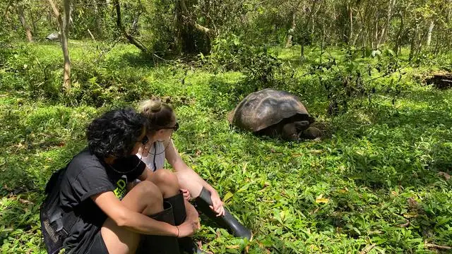 10 Day Galapagos Islands Cruise – East, Central & West Islands