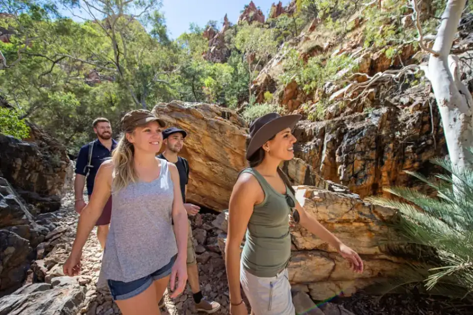 West MacDonnell Ranges (Tjoritja) Tour | From Alice Springs (BDTNT20DAY)