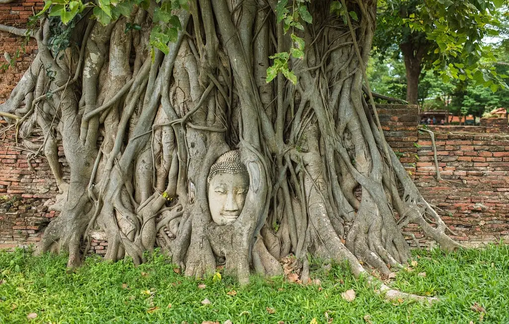 Full-Day Ayutthaya and Lopburi Guided Tour from Bangkok