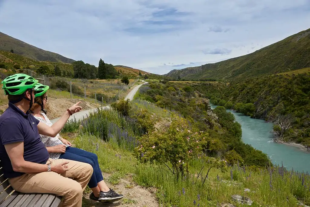 Guided Winery Tour by E-Bike | From Queenstown