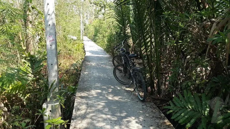Bike Along Bangkok’s Green Lung