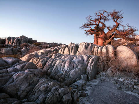 Southern Africa Tour Deals