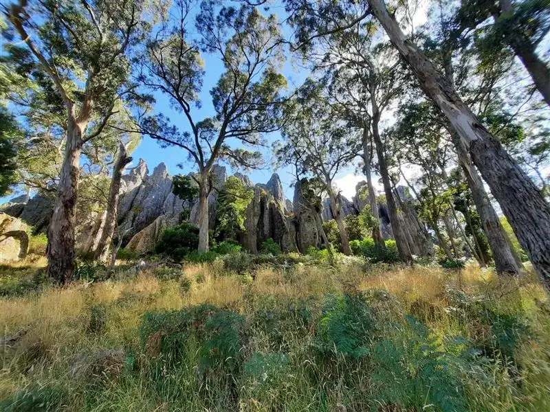 4 Day Daylesford & Goldfields Track Highlights Walking Tour