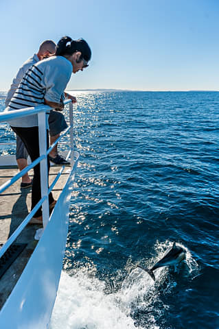 4 day, 3 night cage diving tour