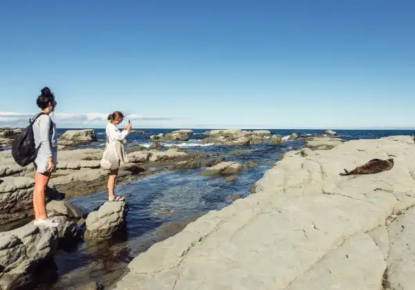 'Southern Round-up' Bus Pass | NZ South Island | Kiwi Experience