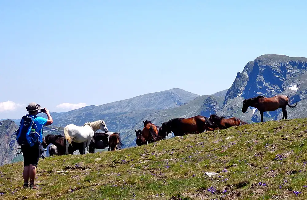 2-Day Hike Along Seven Rila Lakes & Malyovitsa Peak Ridge