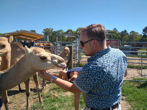Sunshine Coast tours