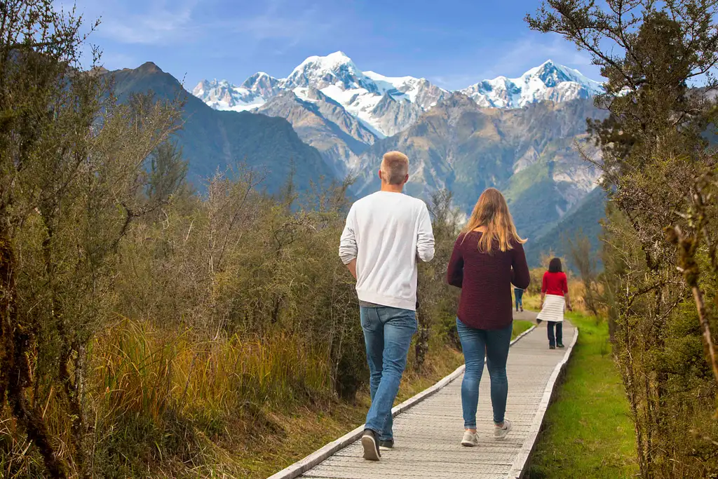 20 Day Tui Tour | Auckland to Christchurch | Stray