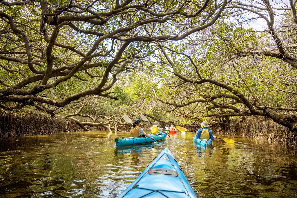 Ships' Graveyard & Dolphin Kayak Tour