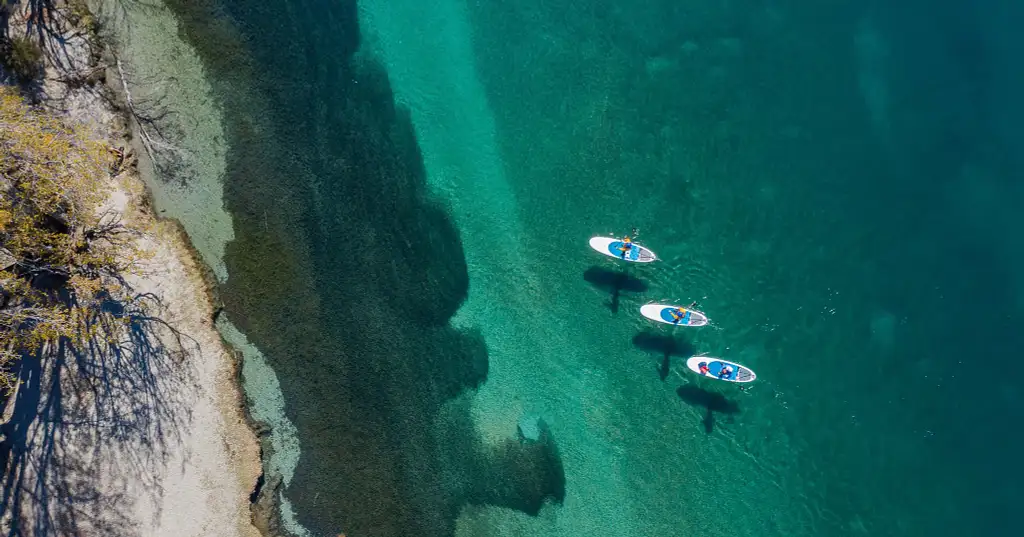 Wanaka Kayak/Paddleboard & Cruise from Ruby Island