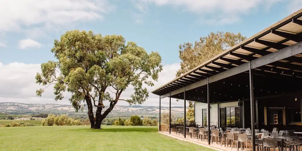 McLaren Vale South Hop-On Hop-Off Tour
