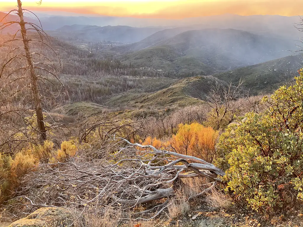 Friday | Sierra Sunset BBQ & Stargazing