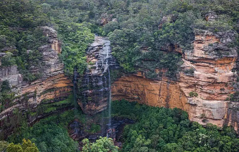 Blue Mountains Small Group Wildlife Tour