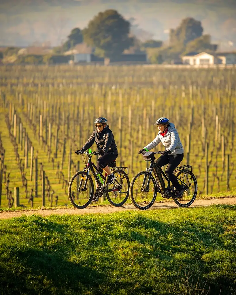 Napier Bike & E-Bike Hire – Half or Full Day
