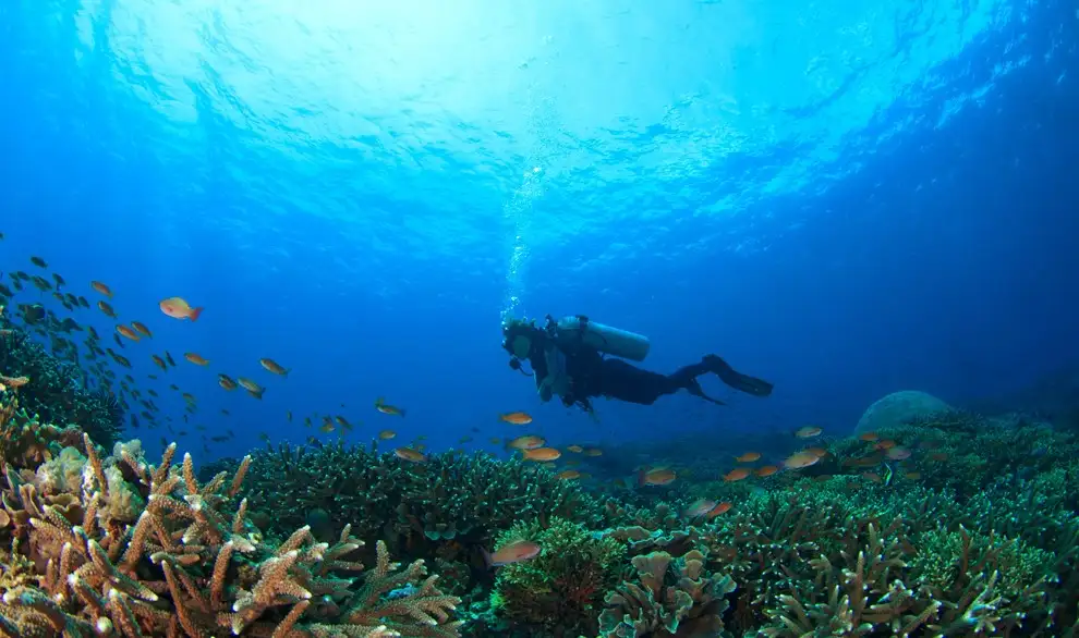 5 Day Adventure Diver | Awesome Adventures Fiji