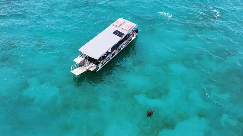Marine Discovery Day Cruise with option to upgrade to Dolphin Feeding | Moreton Island