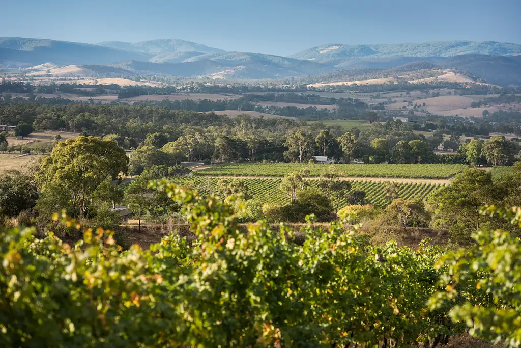 Yarra Valley Wine Grazing Tour | From Melbourne