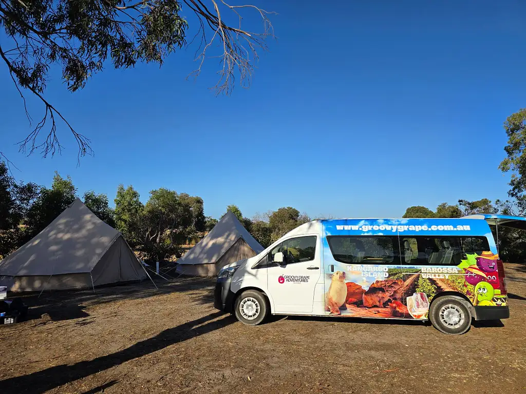 Kangaroo Island 2 Day Wildlife Adventure | Groovy Grape Adventures