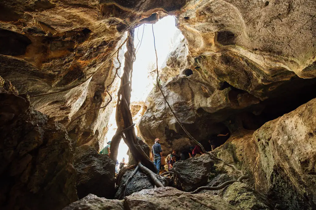 Capricorn Caves Adventure Tours