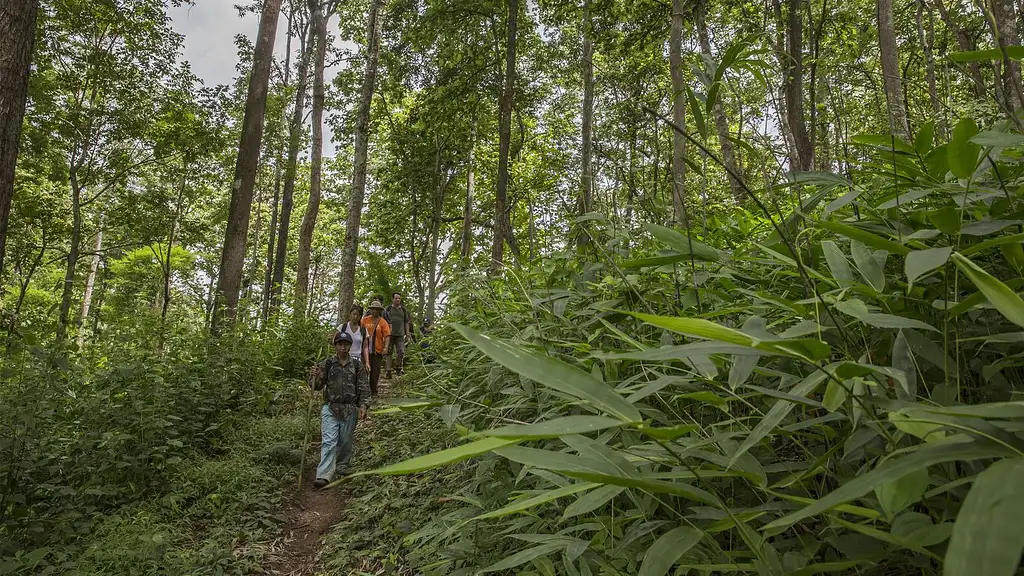 5 Day Northern Thailand Hilltribes Trek - Chiang Mai to Chiang Mai | G Adventures