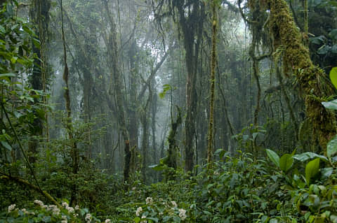 Puntarenas
