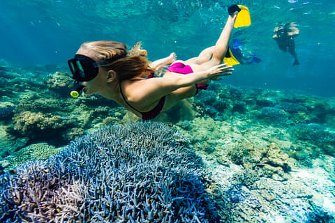 Fiji island hopping packages