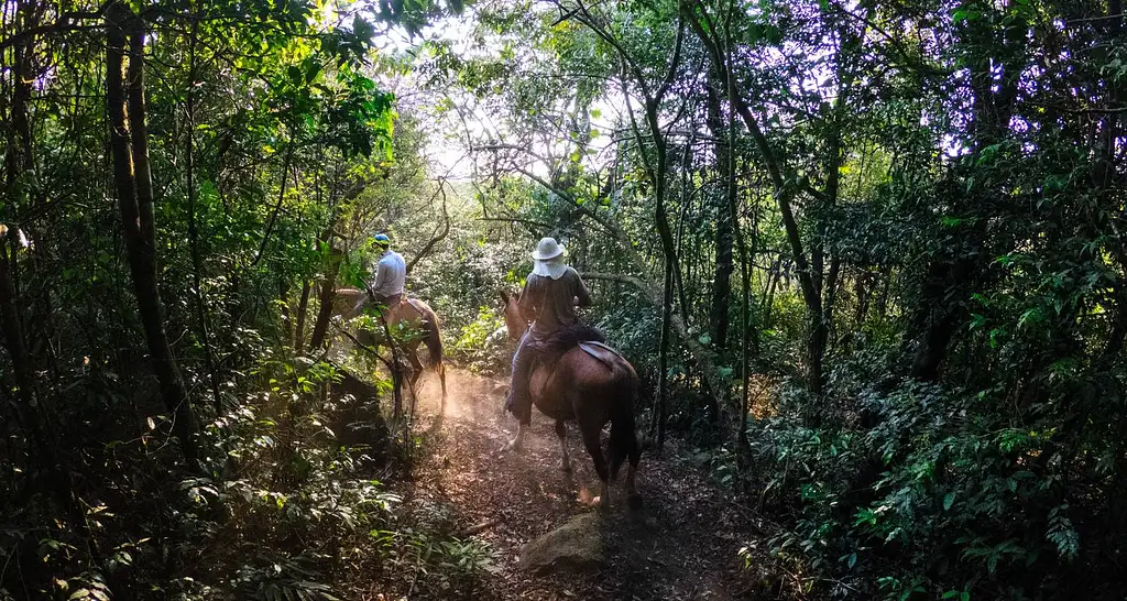 11 Days Epic Costa Rica: Craters, Rainforests & Hanging-10 | G Adventures 18-35's