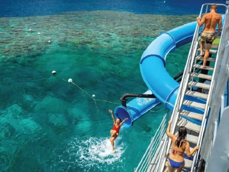 Moore Reef Day Tour