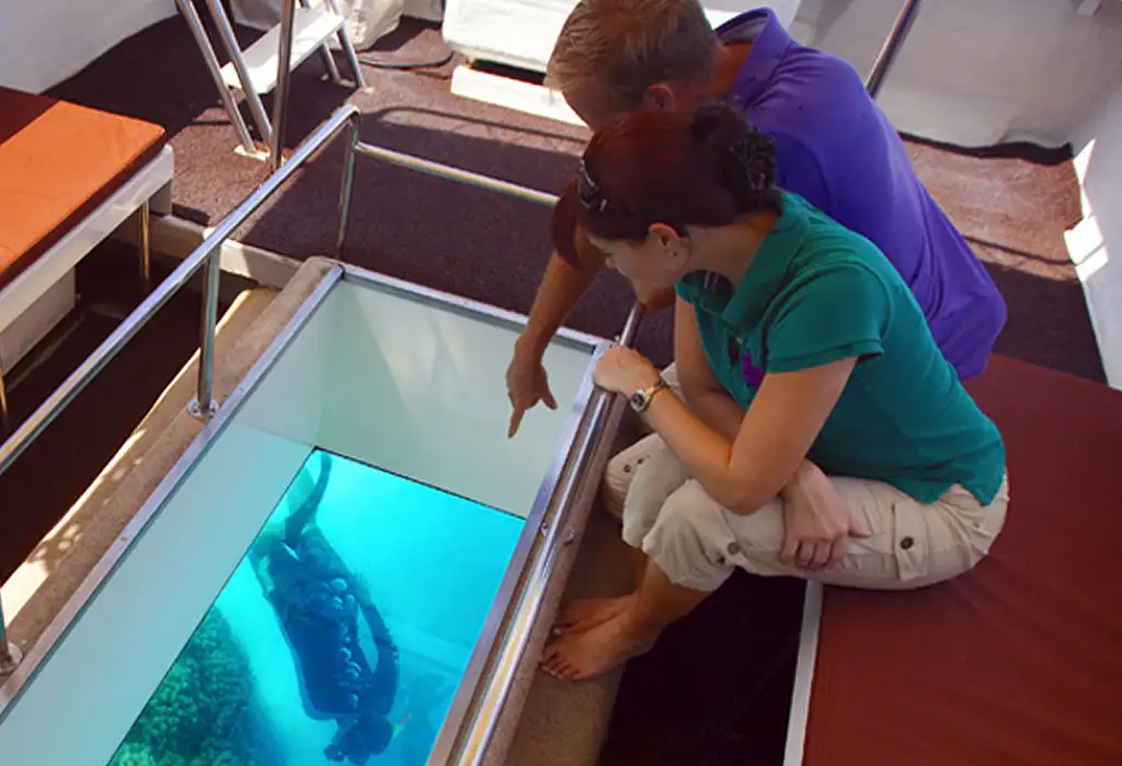 Full-Day Penguin Island & Fremantle Town Tour