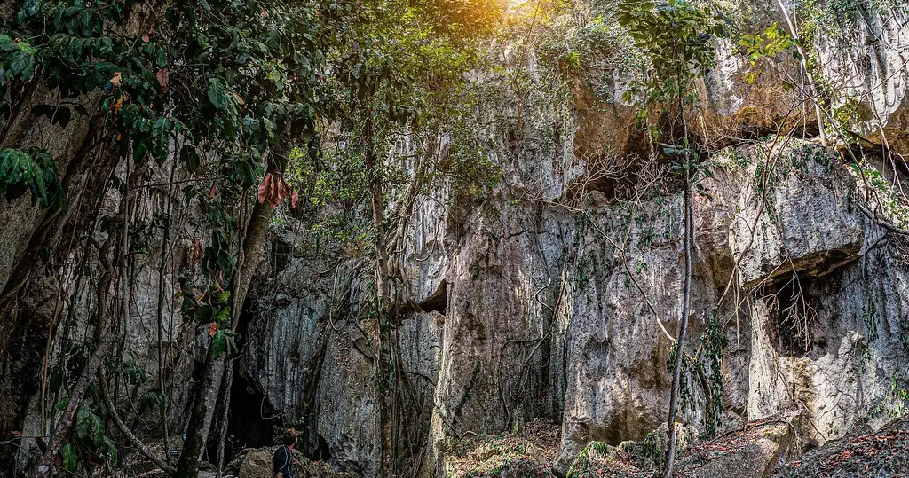 Cathedral Cave Tour – Capricorn Caves