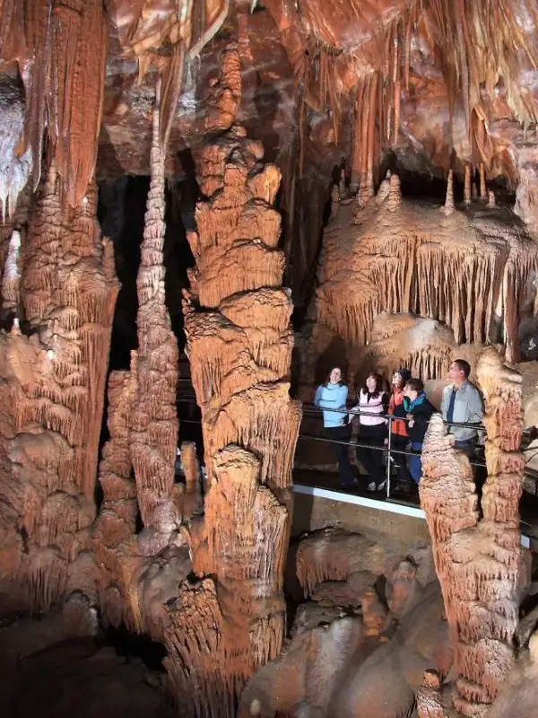 1D Blue Mountains & Jenolan Caves Tour