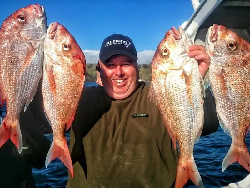 Waiheke Wine & Fishing Tour