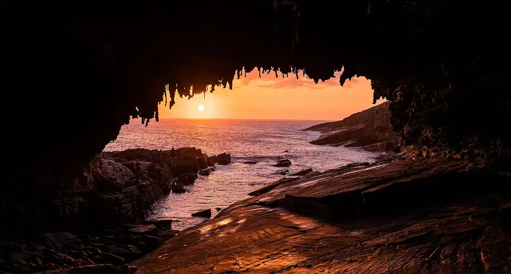Scenic Nature & Wildlife Tour | From Kingscote