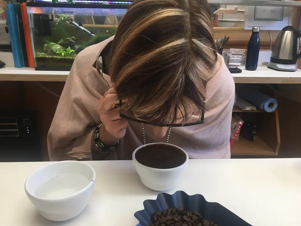 Full Day Wellington Foodie Tour & Lunch
