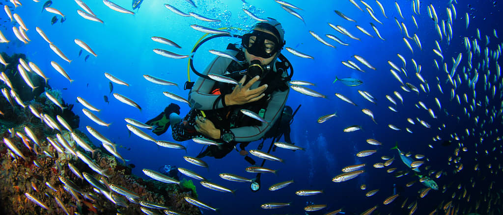 Snorkeling_Tours_Cairns