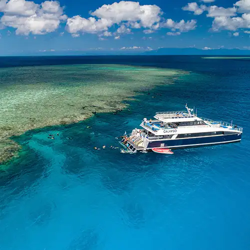 Calypso Outer Great Barrier Reef Snorkel Tour From Port Douglas