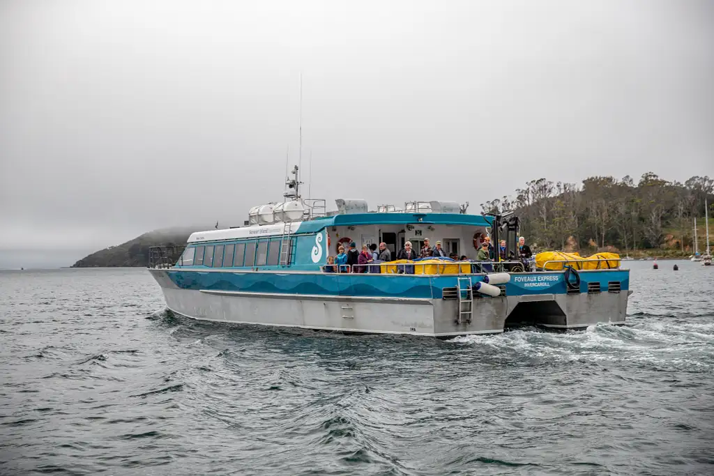 One-Way Ferry from or to Stewart Island to or from Bluff