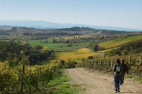 One Day Hiking and Picnic Tour Of Tuscany