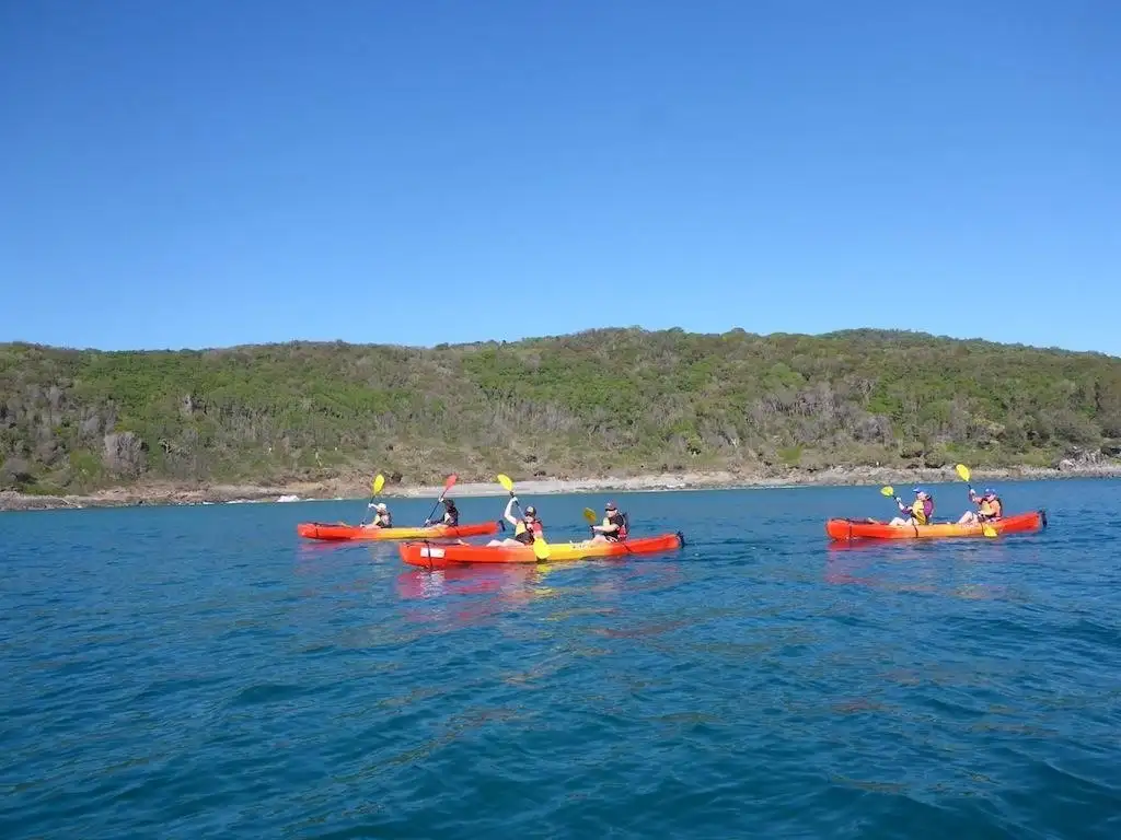 Guided Mangroves and Mansions Kayak Tour | Noosa