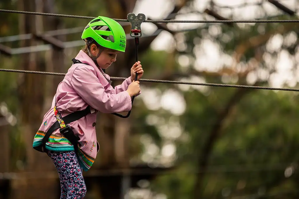 Lorne Short Circuit Treetop Adventure