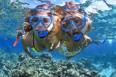 Great Barrier Reef Snorkelling & Dive Cruise - Full Day