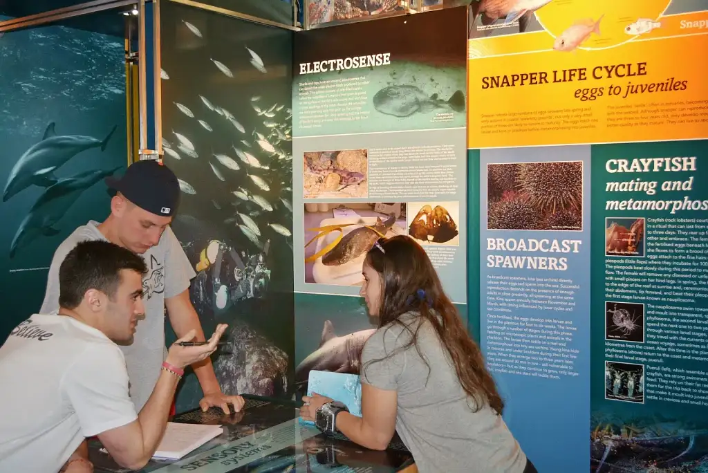 Goat Island Marine Reserve Day Tour