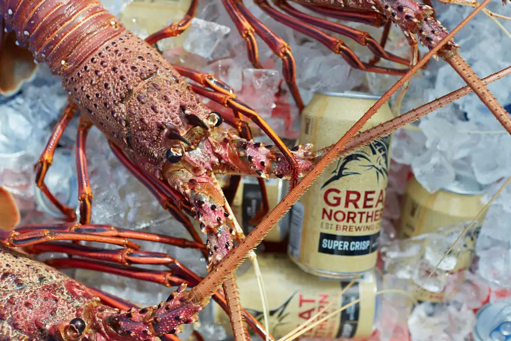 'The Abrolhos Sea Shack' 3-Day Liveaboard Charter Ex. Geraldton