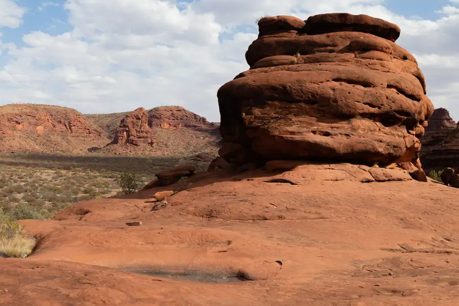 Palm Valley 1 Day Tour