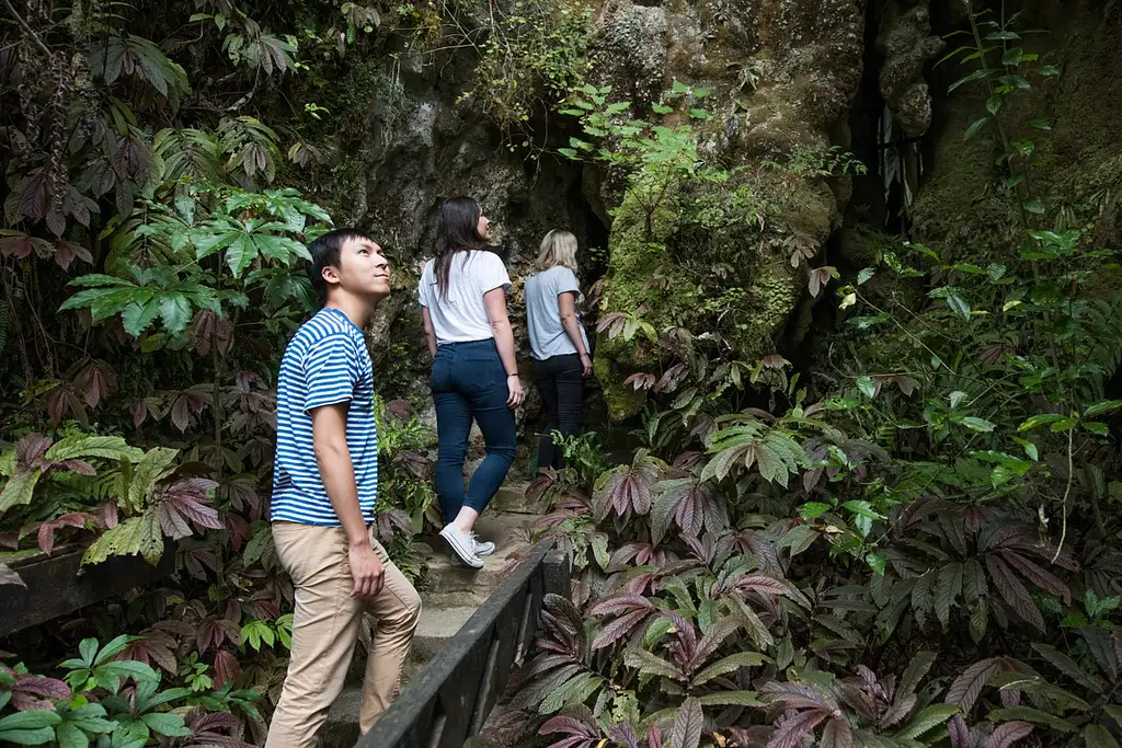 Aranui Cave Tour