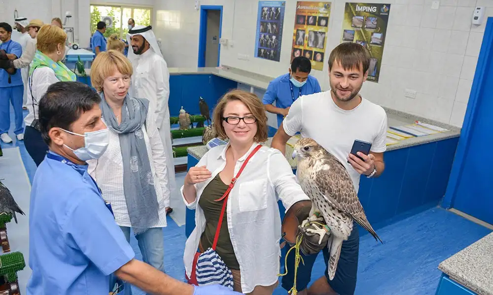 Abu Dhabi Falcon Hospital Tour - with transfer