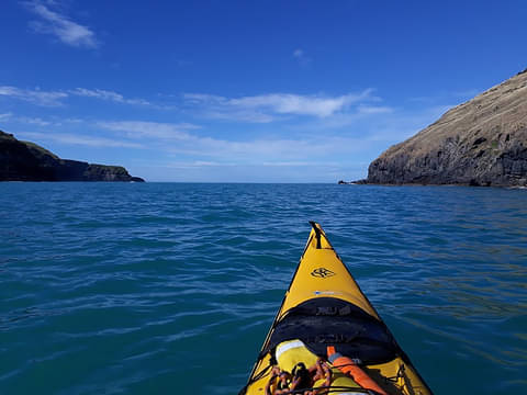 potahu penguins kayak