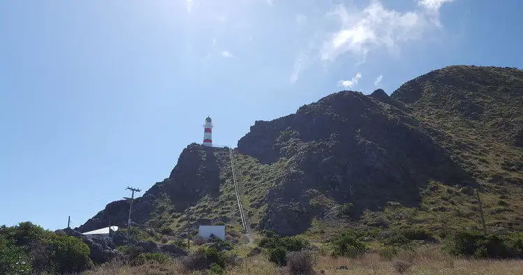 Wine & Wild Coast Tour | Wellington