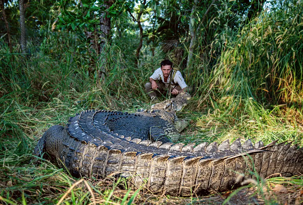 Finniss River Outback Survivalist Tour | Darwin
