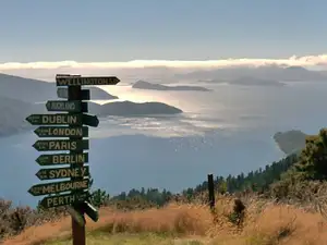 One Day Queen Charlotte Track Walk - Torea to Punga Cove